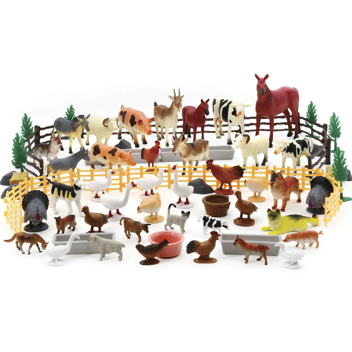 Animal world Animali in barattolo