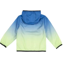 Chicco Antivento sfumato verde royal