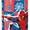 Spiderman Borraccia ecozen 540 ml
