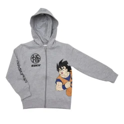 Disney Boy hoodie sweatshirt with zip