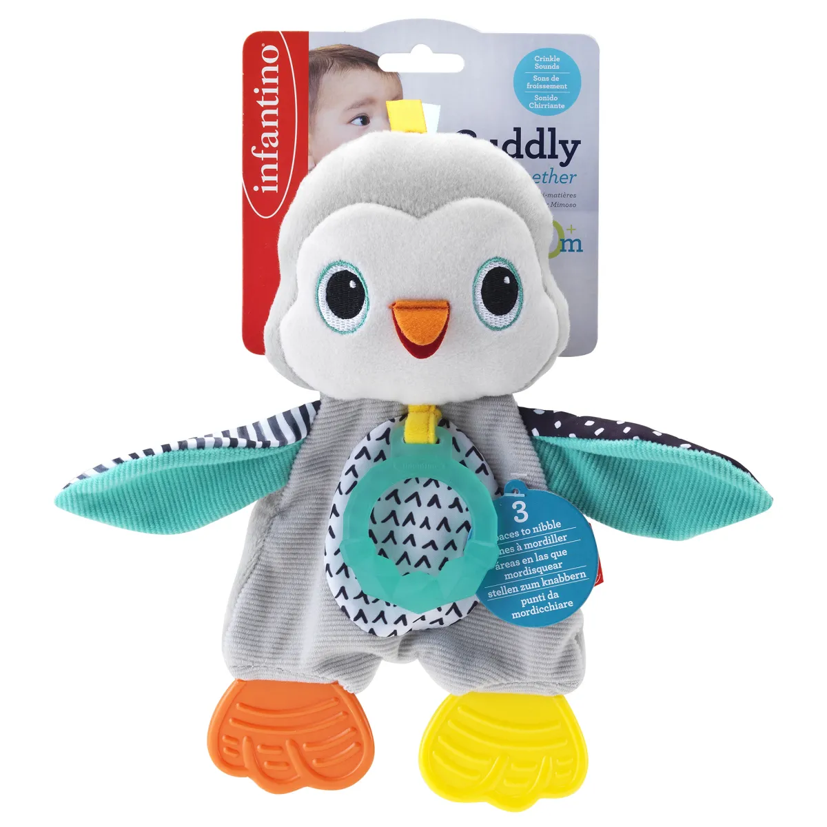 Infantino Dentaruolo pinguino