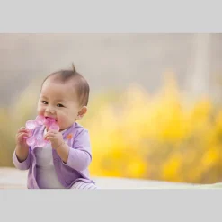 Infantino Dentaruolo rosa –