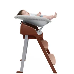 Chicco Kit neonato crescendo recliner grey