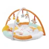 Baby Smile Palestrina play & relax baby gim –