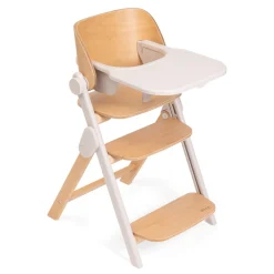 Chicco Sedia evolutiva meraviglia fossil –