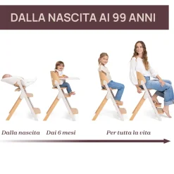Chicco Sedia evolutiva meraviglia fossil –