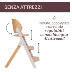 Chicco Sedia evolutiva meraviglia fossil –