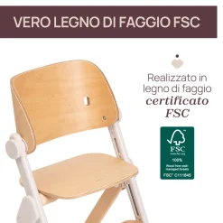 Chicco Sedia evolutiva meraviglia fossil –