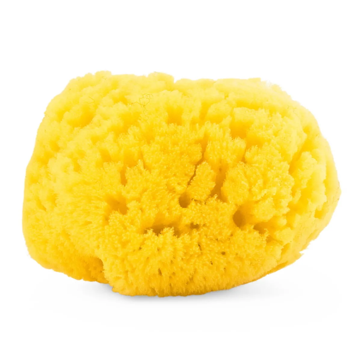 Bambino Chicco Spugna marina naturale –