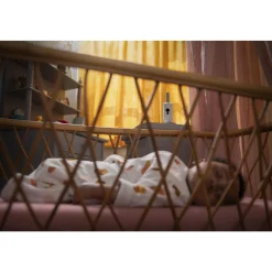 Avent Video baby monitor premium connesso con applicazione – philips